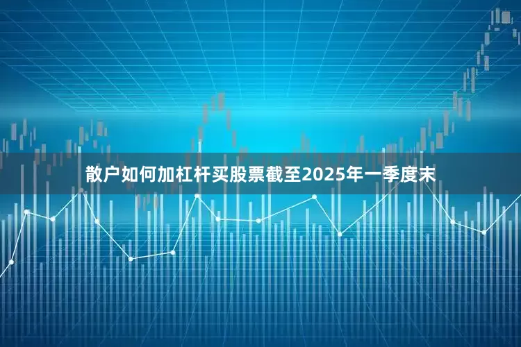 散户如何加杠杆买股票截至2025年一季度末