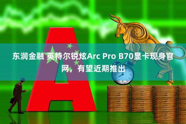 东润金融 英特尔锐炫Arc Pro B70显卡现身官网,有望近期推出