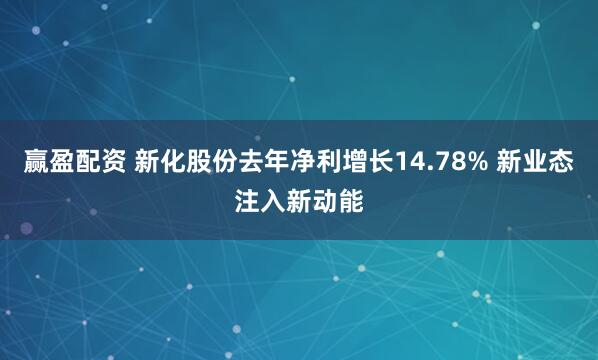 赢盈配资 新化股份去年净利增长14.78% 新业态注入新动能