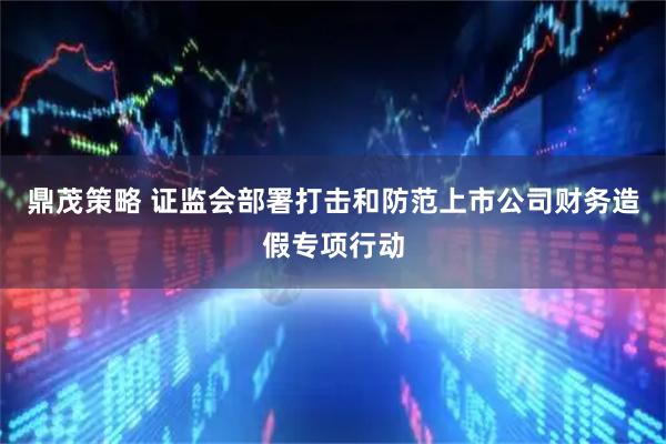 鼎茂策略 证监会部署打击和防范上市公司财务造假专项行动