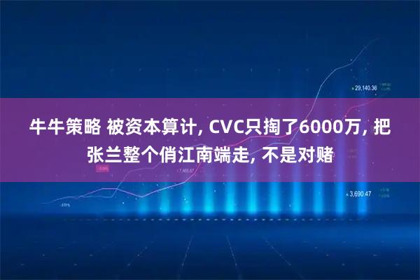 牛牛策略 被资本算计, CVC只掏了6000万, 把张兰整个俏江南端走, 不是对赌