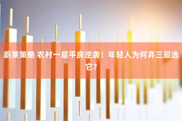 蔚莱策略 农村一层平房逆袭！年轻人为何弃三层选它？