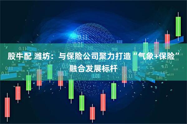 股牛配 潍坊：与保险公司聚力打造“气象+保险”融合发展标杆