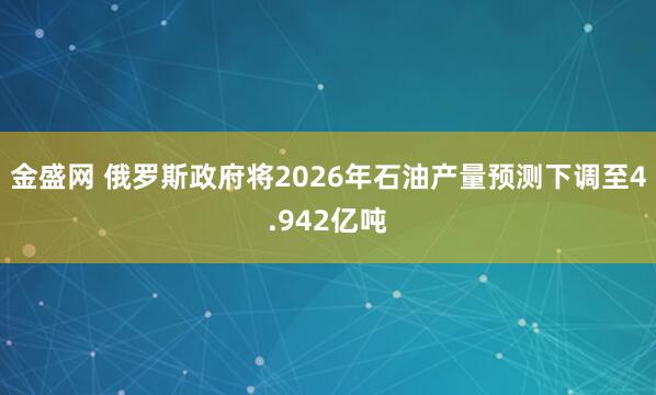 金盛网 俄罗斯政府将2026年石油产量预测下调至4.942亿吨